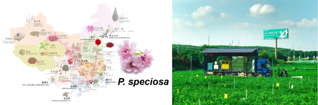植提车.jpg
